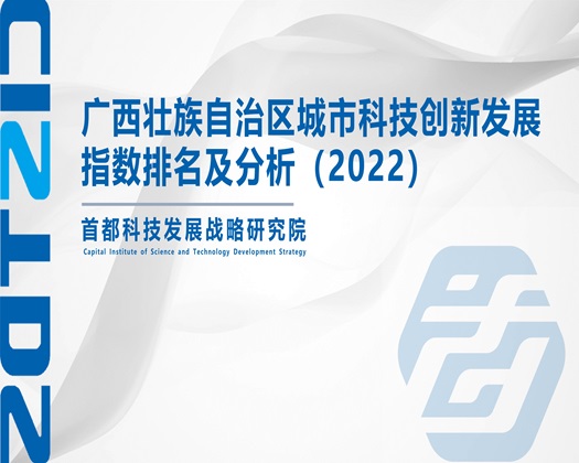 看艹逼【成果发布】广西壮族自治区城市科技创新发展指数排名及分析（2022）